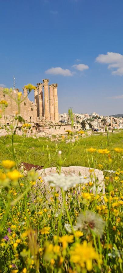 Cardostudio Hotel Jarash Bagian luar foto