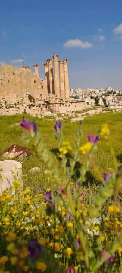 Cardostudio Hotel Jarash Bagian luar foto