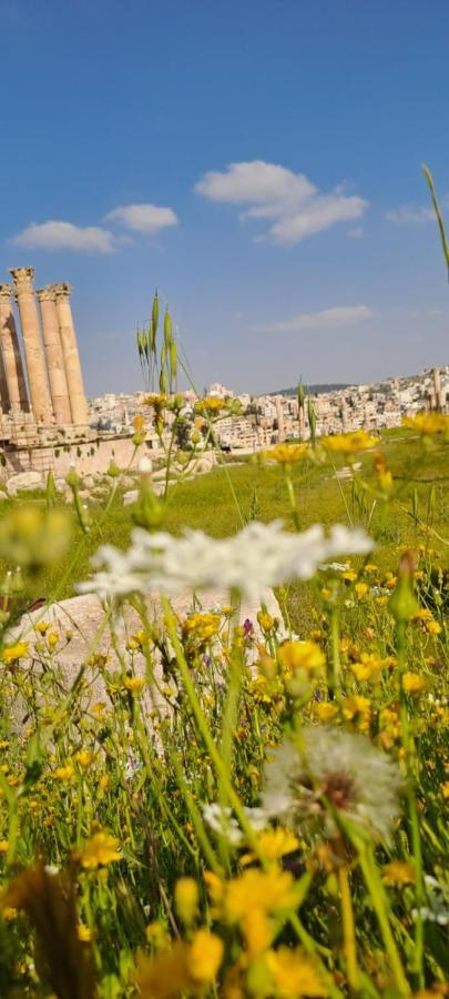 Cardostudio Hotel Jarash Bagian luar foto